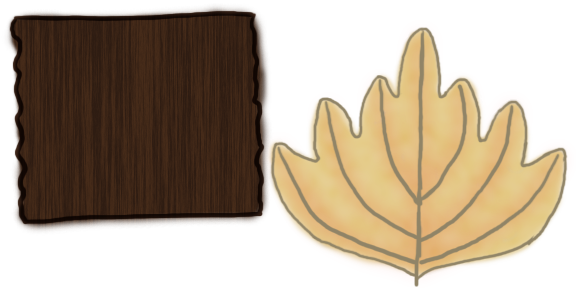 illustration of a piece of dark bark and a wide light leaf with soft lobes